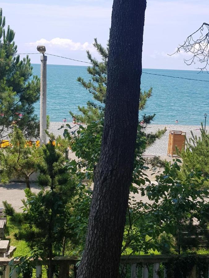 Midia Guest House Kobuleti Exteriér fotografie