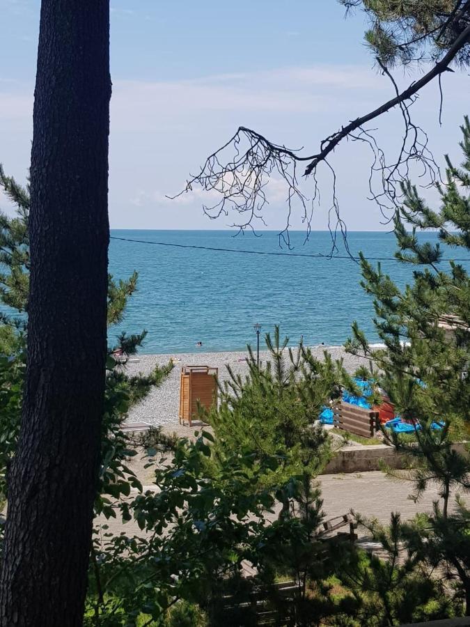 Midia Guest House Kobuleti Exteriér fotografie