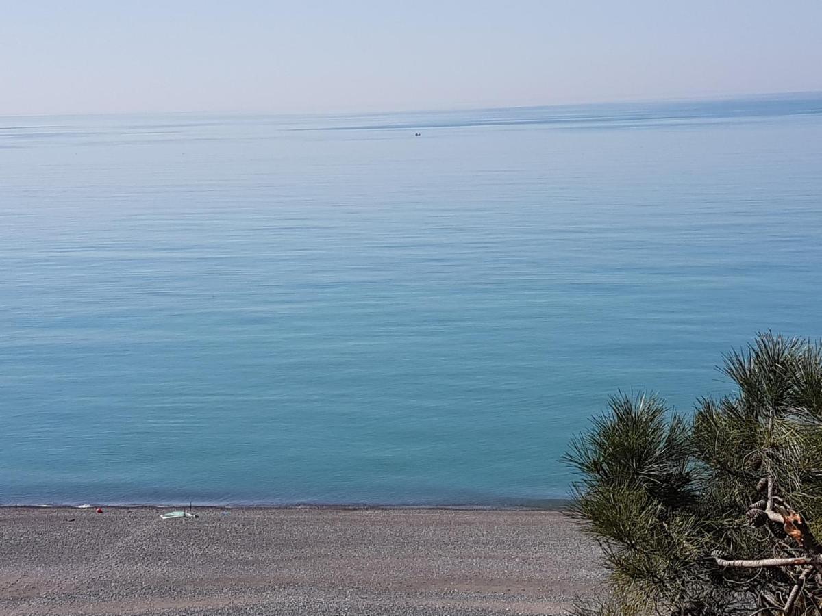 Midia Guest House Kobuleti Exteriér fotografie