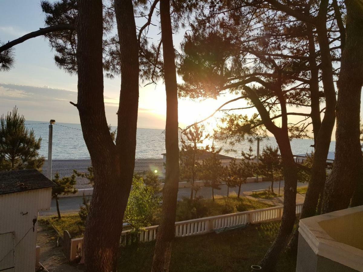 Midia Guest House Kobuleti Exteriér fotografie
